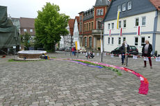 Bluemteppich auf dem Naumburegr Marktplatz (Foto: Karl-Franz Thiede)